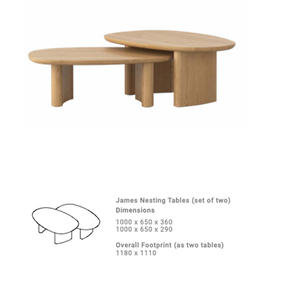 James : Nest of Two Coffee Table Natural Oak
