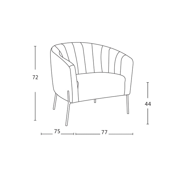 Sanari : Accent Chair | Arm Chair - Modern Home Furniture